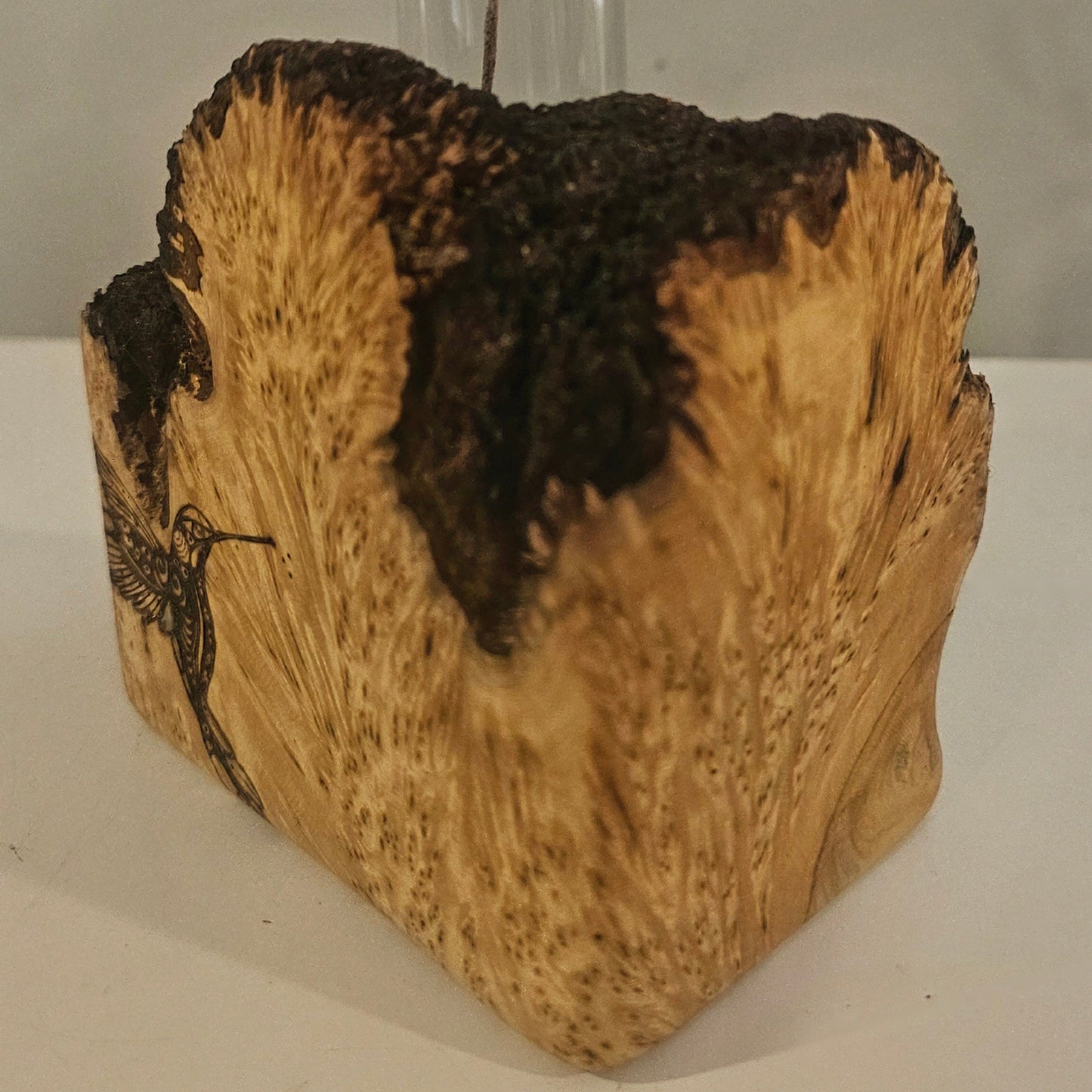 Yellow Cedar Burl - Single HummingBud Vase