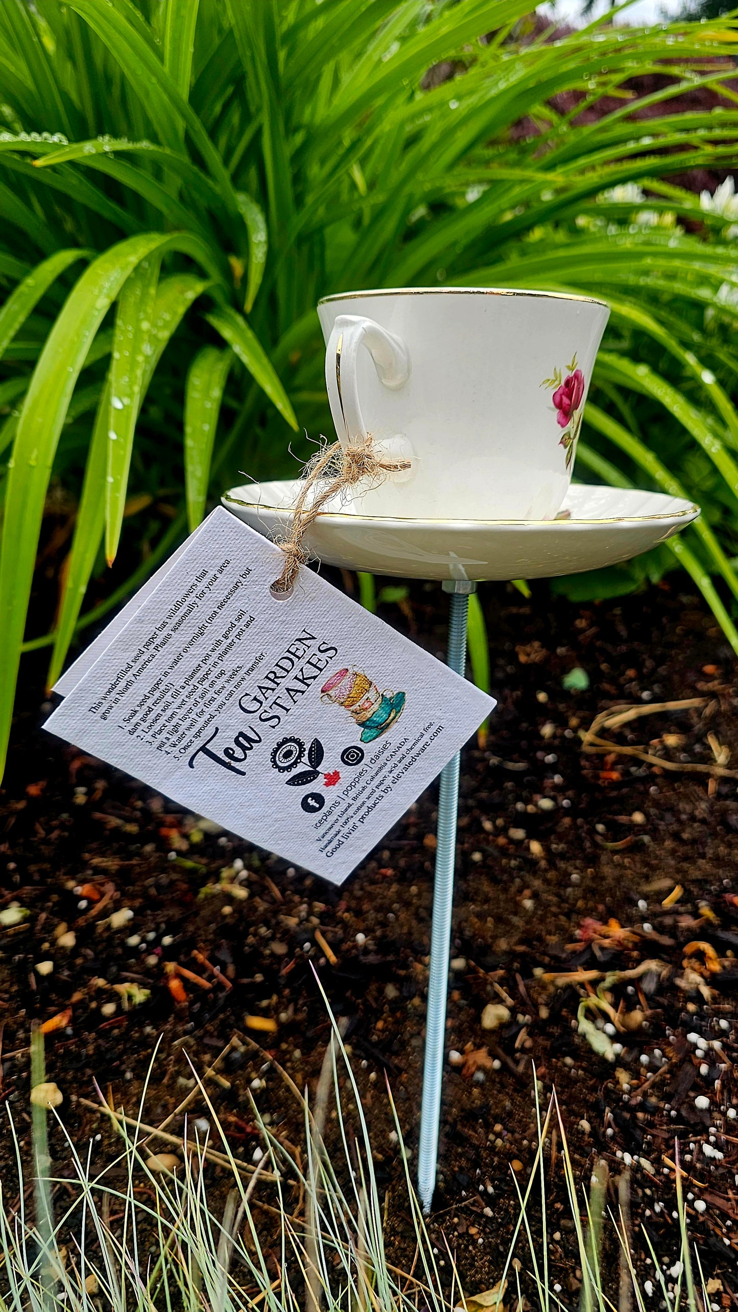 Tea Garden Stakes